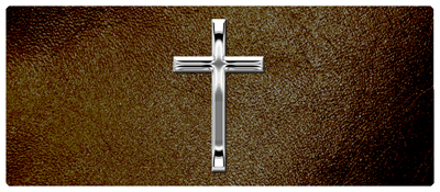 DNSEMP-L-510-SL-SH-BR Silver Single Cross Shimmer Brown